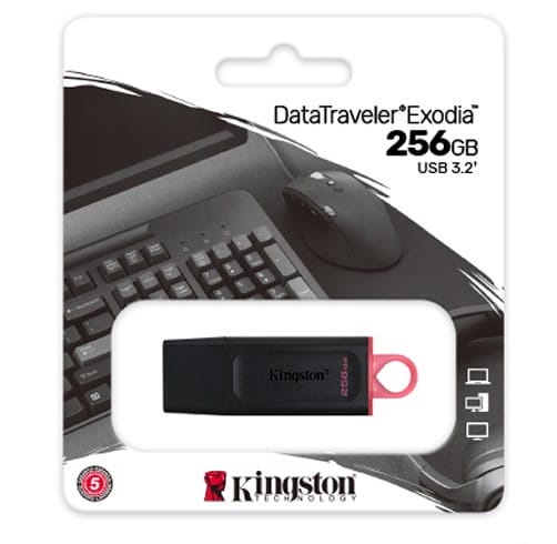 kingston datatraveler exodia  256 GB USB 3.2