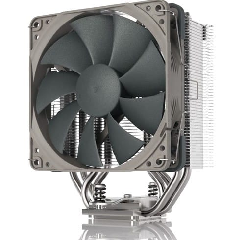 Noctua 