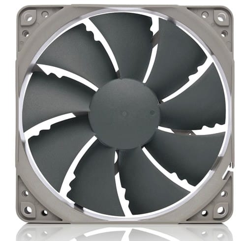 Noctua 