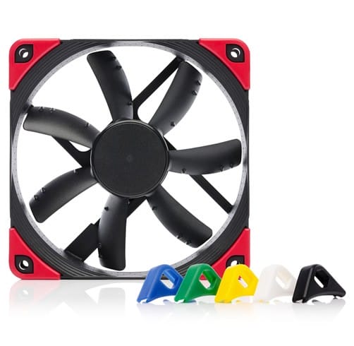 Noctua 