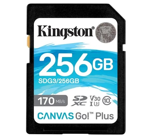 Micro SD Kingston Canvas Go Plus 256GB